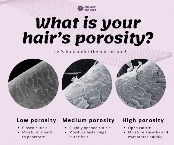 Hair Porosity: High vs Low vs Medium