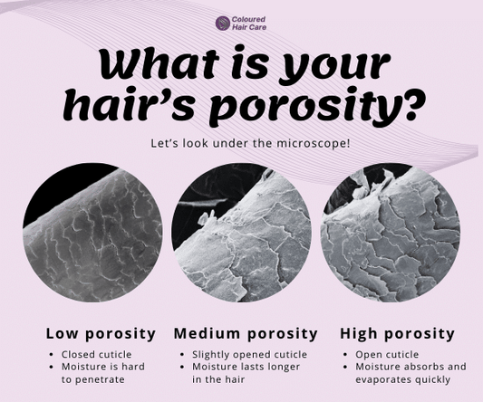 Hair Porosity: High vs Low vs Medium