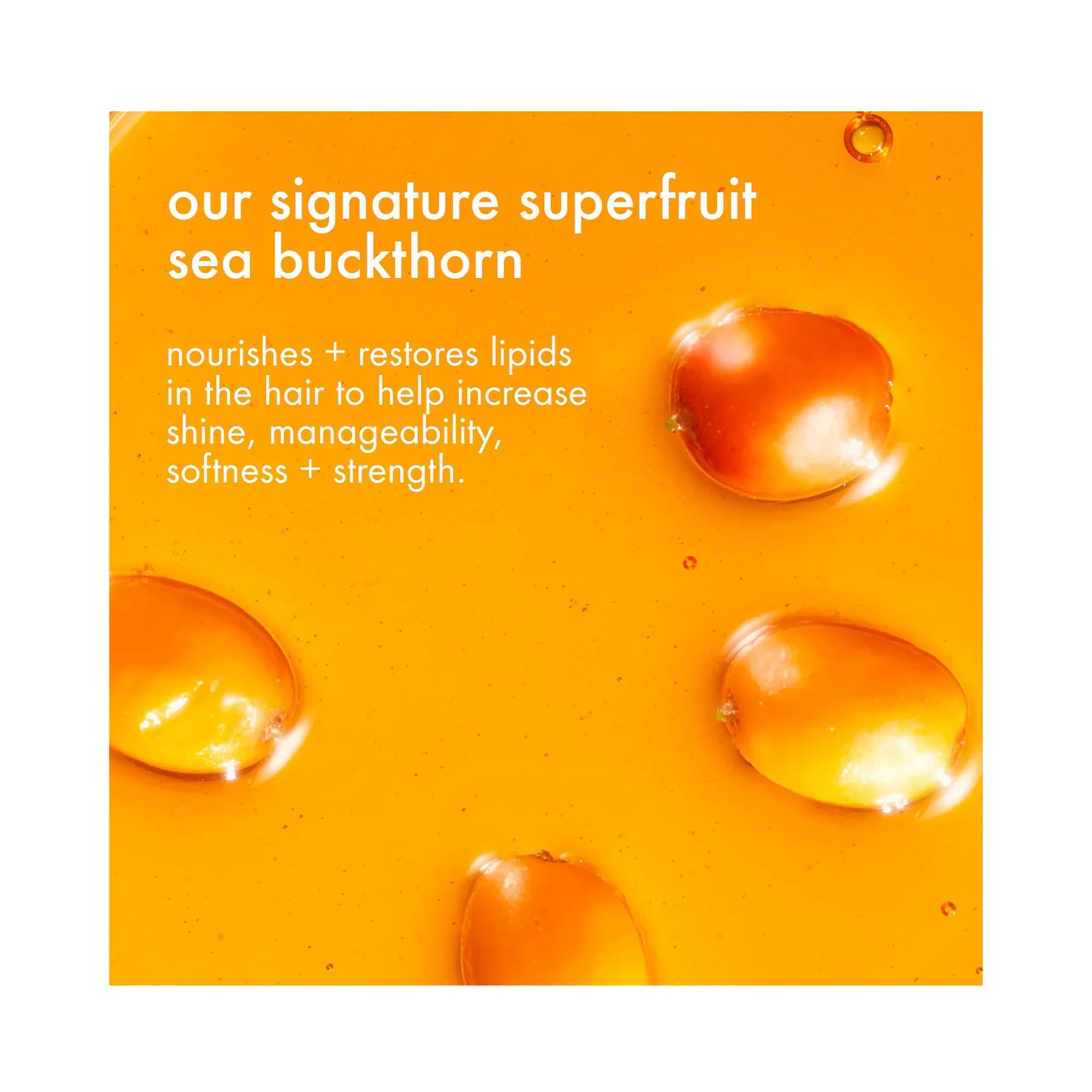 Amika Soft Strand Manifestation Nourishing Treat + Style Set