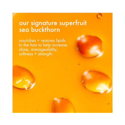 Amika Soft Strand Manifestation Nourishing Treat + Style Set