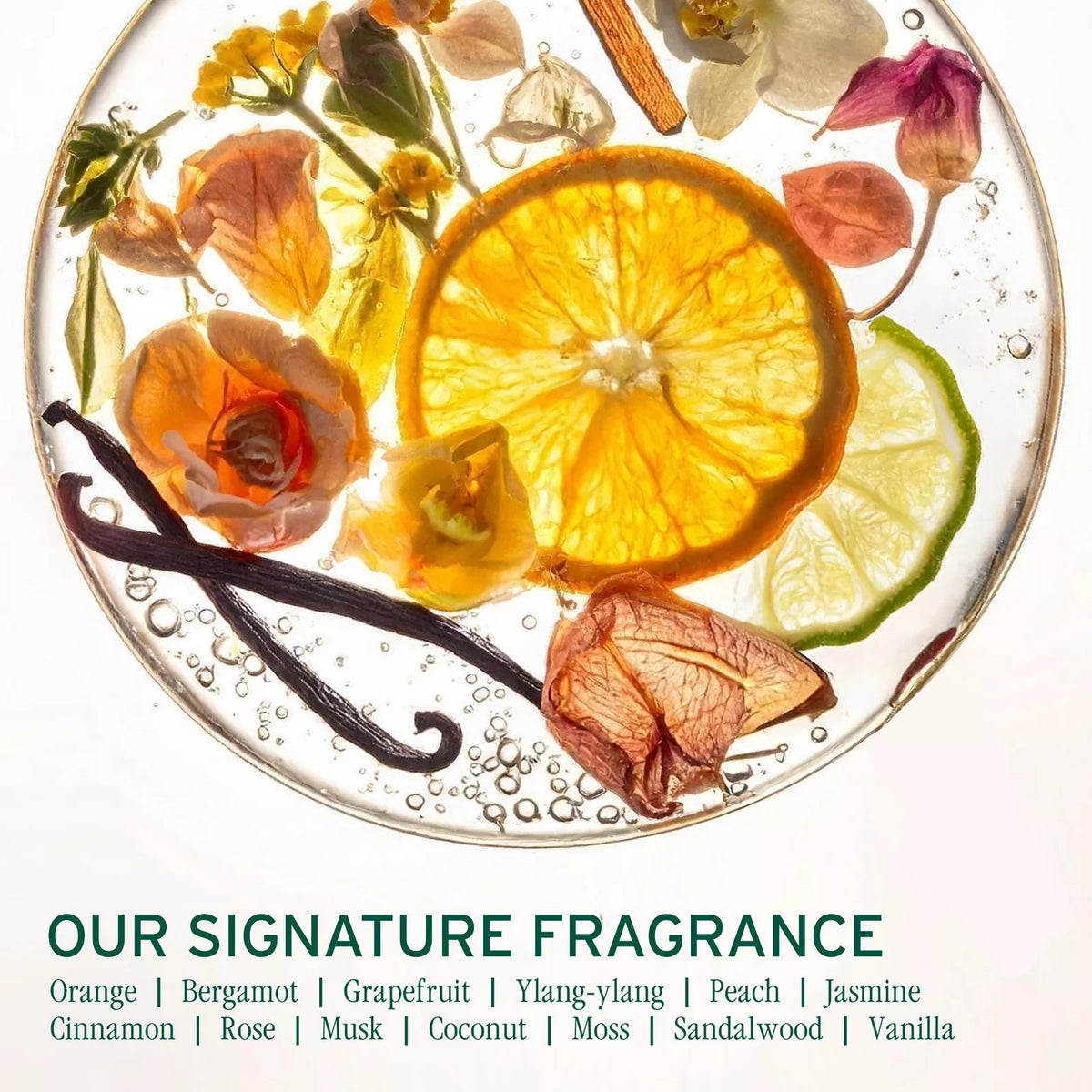 Biolage Hydra Source Deep Treatment Mask